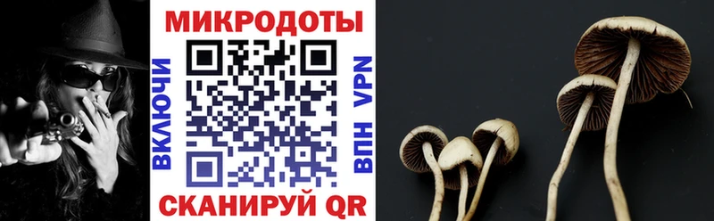 Псилоцибиновые грибы мицелий  omg ТОР  Артёмовск 